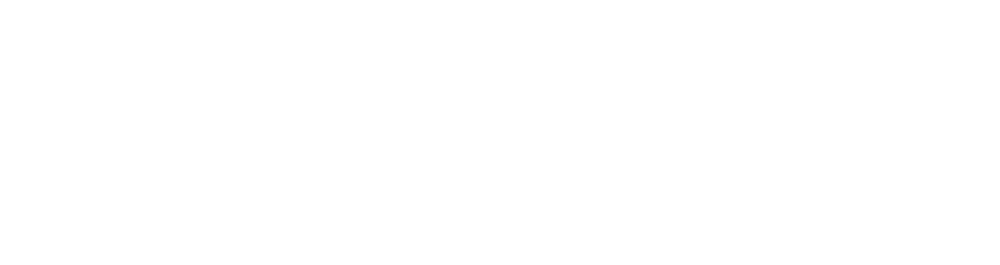 Veterans Energy Team Logo in teh color white